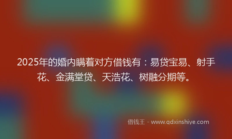 2025年的婚内瞒着对方借钱有：易贷宝易、射手花、金满堂贷、天浩花、树融分期等。