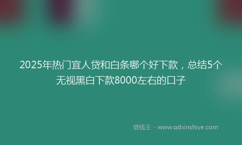 2025年热门宜人贷和白条哪个好下款，总结5个无视黑白下款8000左右的口子