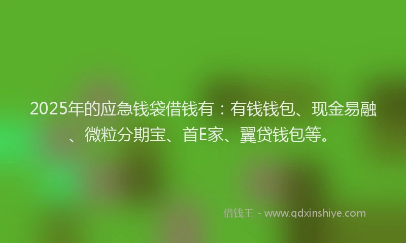 2025年的应急钱袋借钱有：有钱钱包、现金易融、微粒分期宝、首E家、翼贷钱包等。
