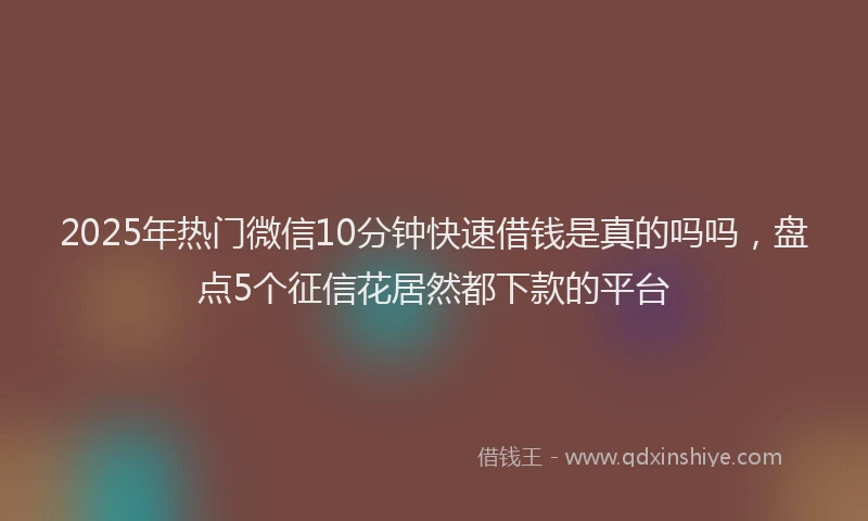 2025年热门微信10分钟快速借钱是真的吗吗，盘点5个征信花居然都下款的平台
