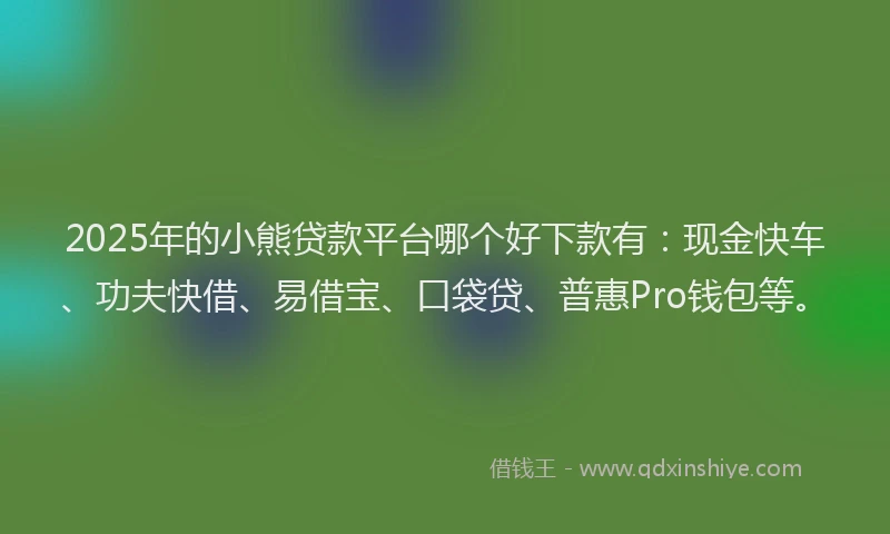 2025年的小熊贷款平台哪个好下款有：现金快车、功夫快借、易借宝、口袋贷、普惠Pro钱包等。
