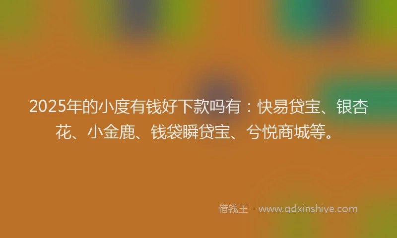 2025年的小度有钱好下款吗有：快易贷宝、银杏花、小金鹿、钱袋瞬贷宝、兮悦商城等。