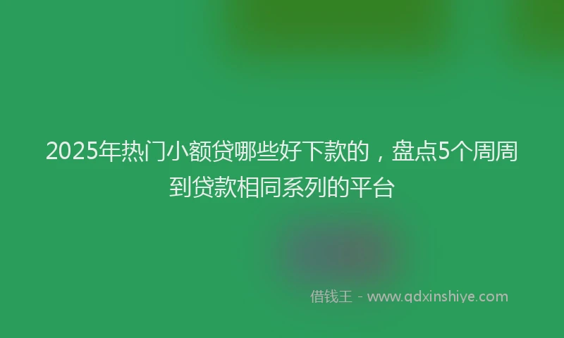 2025年热门小额贷哪些好下款的，盘点5个周周到贷款相同系列的平台