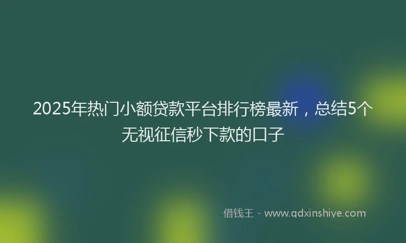 2025年热门小额贷款平台排行榜最新，总结5个无视征信秒下款的口子