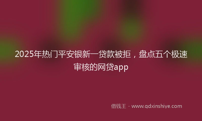 2025年热门平安银新一贷款被拒，盘点五个极速审核的网贷app