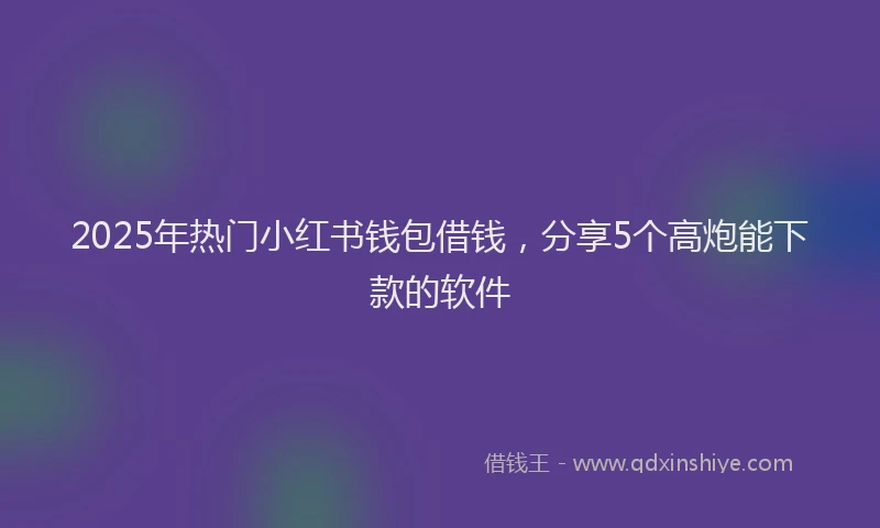 2025年热门小红书钱包借钱，分享5个高炮能下款的软件