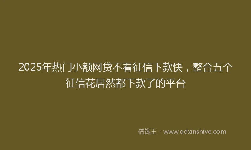 2025年热门小额网贷不看征信下款快，整合五个征信花居然都下款了的平台