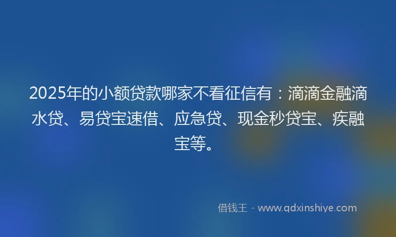 2025年的小额贷款哪家不看征信有：滴滴金融滴水贷、易贷宝速借、应急贷、现金秒贷宝、疾融宝等。