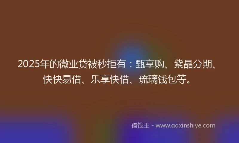 2025年的微业贷被秒拒有：甄享购、紫晶分期、快快易借、乐享快借、琉璃钱包等。