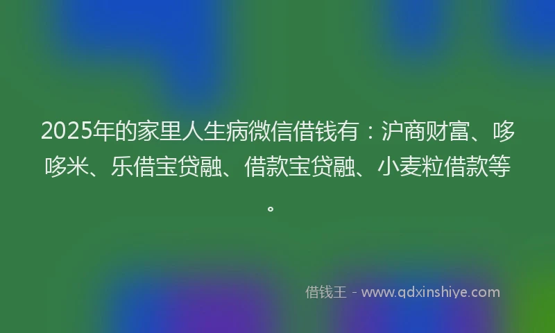 2025年的家里人生病微信借钱有：沪商财富、哆哆米、乐借宝贷融、借款宝贷融、小麦粒借款等。