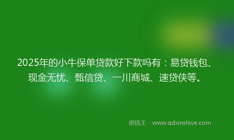 2025年的小牛保单贷款好下款吗有：易贷钱包、现金无忧、甄信贷、一川商城、速贷侠等。
