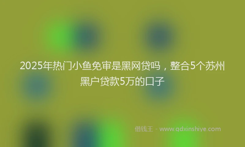 2025年热门小鱼免审是黑网贷吗，整合5个苏州黑户贷款5万的口子