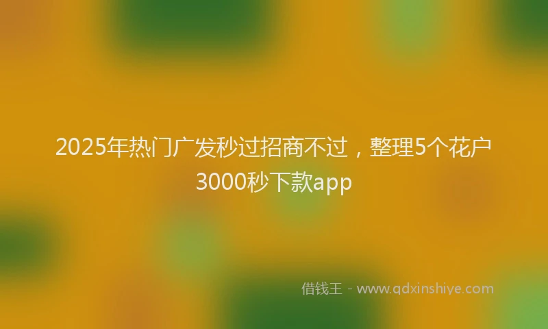 2025年热门广发秒过招商不过，整理5个花户3000秒下款app