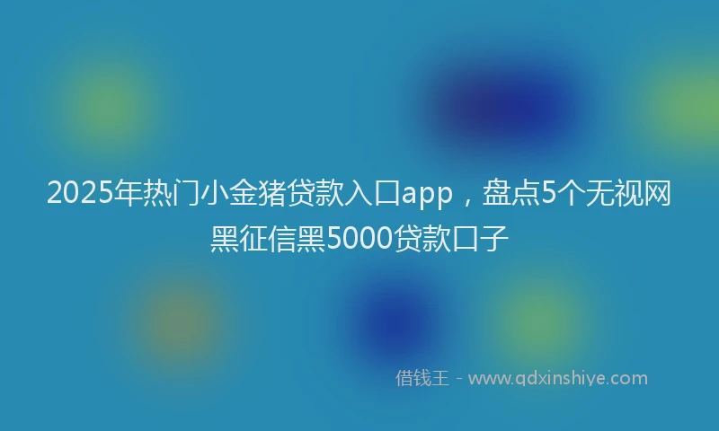 2025年热门小金猪贷款入口app，盘点5个无视网黑征信黑5000贷款口子