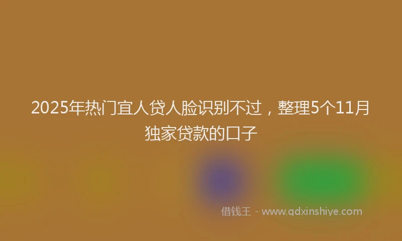 2025年热门宜人贷人脸识别不过，整理5个11月独家贷款的口子