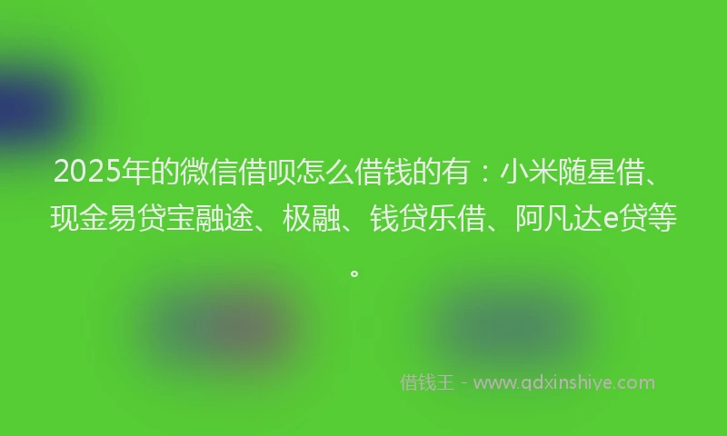 2025年的微信借呗怎么借钱的有：小米随星借、现金易贷宝融途、极融、钱贷乐借、阿凡达e贷等。