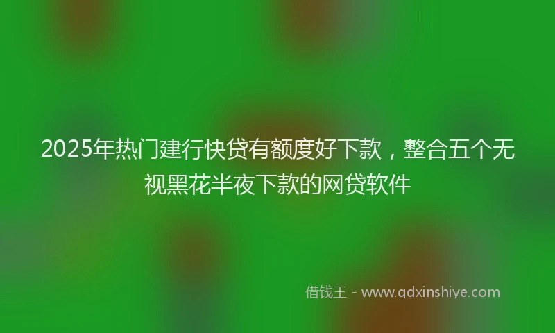 2025年热门建行快贷有额度好下款，整合五个无视黑花半夜下款的网贷软件