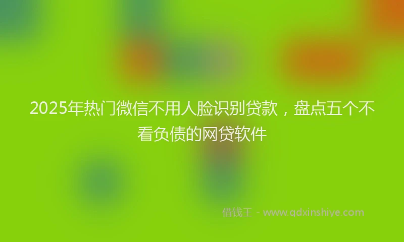 2025年热门微信不用人脸识别贷款，盘点五个不看负债的网贷软件