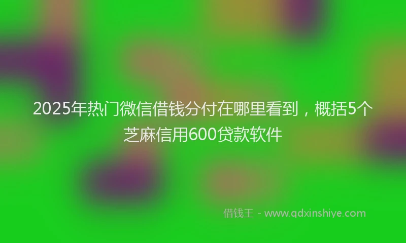 2025年热门微信借钱分付在哪里看到，概括5个芝麻信用600贷款软件