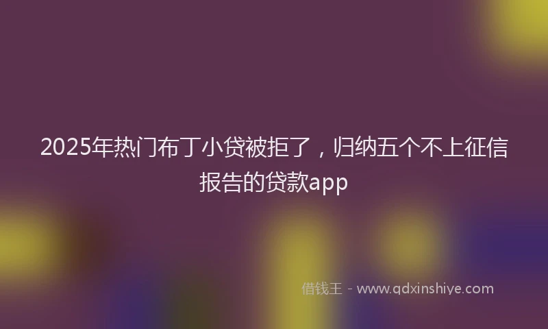 2025年热门布丁小贷被拒了，归纳五个不上征信报告的贷款app