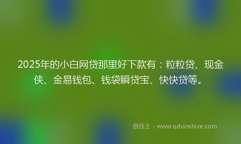 2025年的小白网贷那里好下款有：粒粒贷、现金侠、金易钱包、钱袋瞬贷宝、快快贷等。