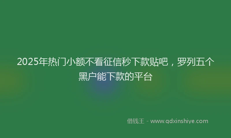 2025年热门小额不看征信秒下款贴吧，罗列五个黑户能下款的平台