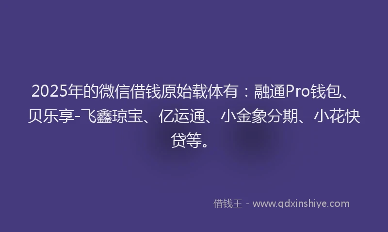 2025年的微信借钱原始载体有：融通Pro钱包、贝乐享-飞鑫琼宝、亿运通、小金象分期、小花快贷等。
