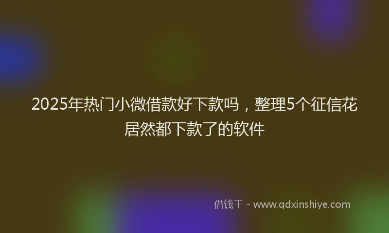 2025年热门小微借款好下款吗，整理5个征信花居然都下款了的软件