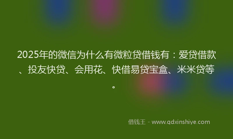 2025年的微信为什么有微粒贷借钱有：爱贷借款、投友快贷、会用花、快借易贷宝盒、米米贷等。