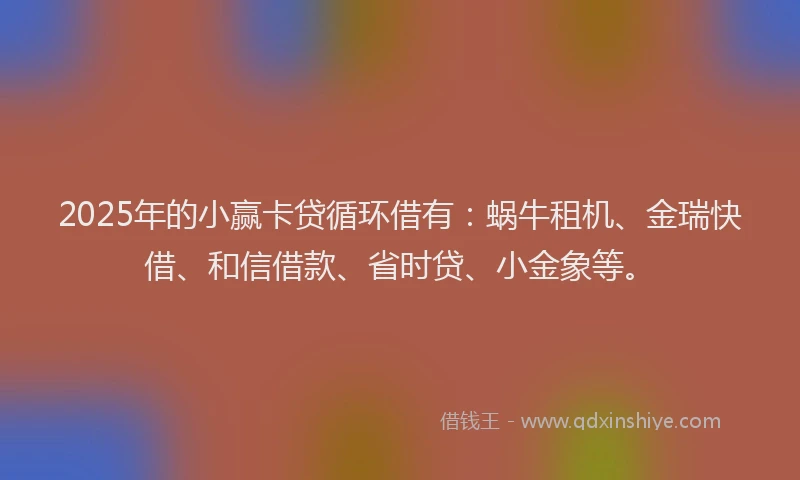 2025年的小赢卡贷循环借有：蜗牛租机、金瑞快借、和信借款、省时贷、小金象等。