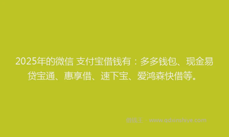2025年的微信 支付宝借钱有：多多钱包、现金易贷宝通、惠享借、速下宝、爱鸿森快借等。