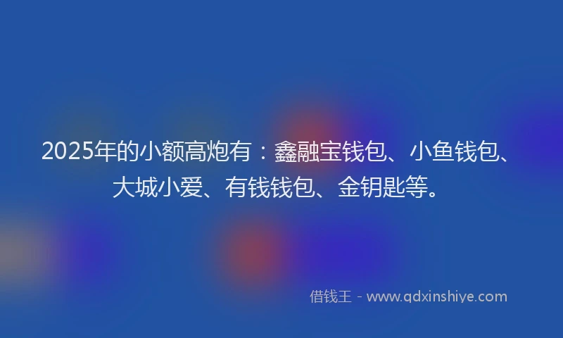2025年的小额高炮有：鑫融宝钱包、小鱼钱包、大城小爱、有钱钱包、金钥匙等。