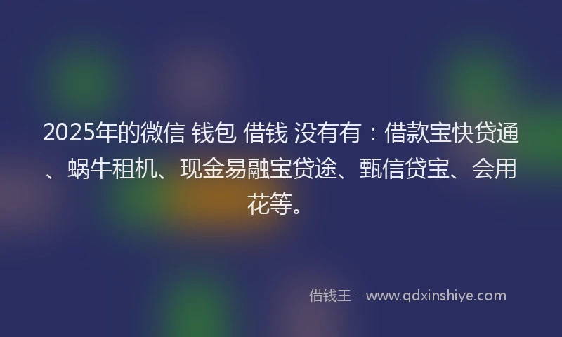 2025年的微信 钱包 借钱 没有有：借款宝快贷通、蜗牛租机、现金易融宝贷途、甄信贷宝、会用花等。