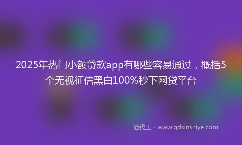 2025年热门小额贷款app有哪些容易通过，概括5个无视征信黑白100%秒下网贷平台