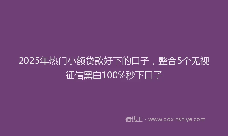 2025年热门小额贷款好下的口子，整合5个无视征信黑白100%秒下口子