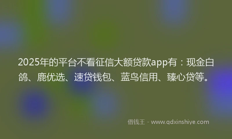 2025年的平台不看征信大额贷款app有：现金白鸽、鹿优选、速贷钱包、蓝鸟信用、臻心贷等。