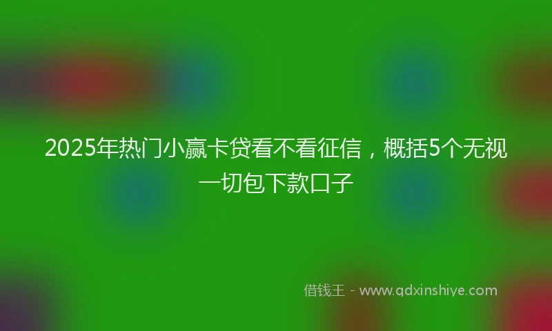 2025年热门小赢卡贷看不看征信，概括5个无视一切包下款口子