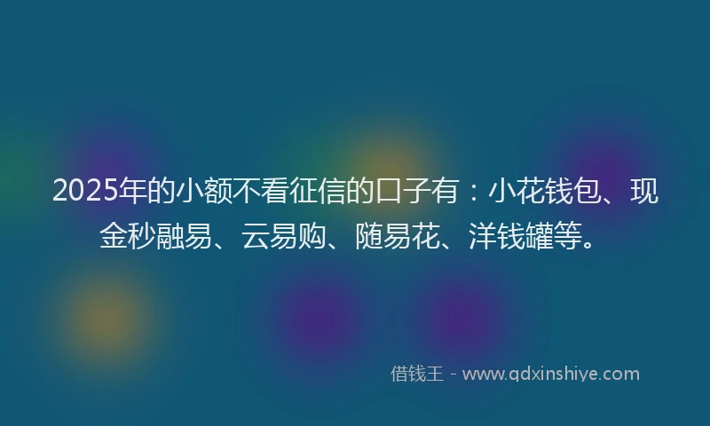 2025年的小额不看征信的口子有：小花钱包、现金秒融易、云易购、随易花、洋钱罐等。