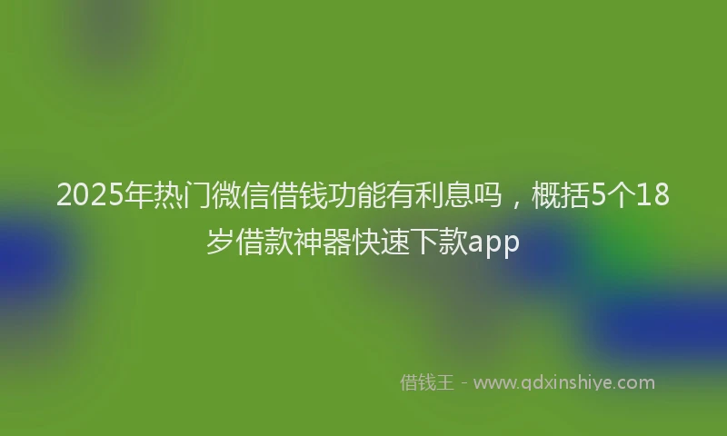 2025年热门微信借钱功能有利息吗，概括5个18岁借款神器快速下款app
