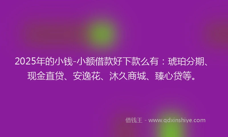 2025年的小钱-小额借款好下款么有：琥珀分期、现金直贷、安逸花、沐久商城、臻心贷等。