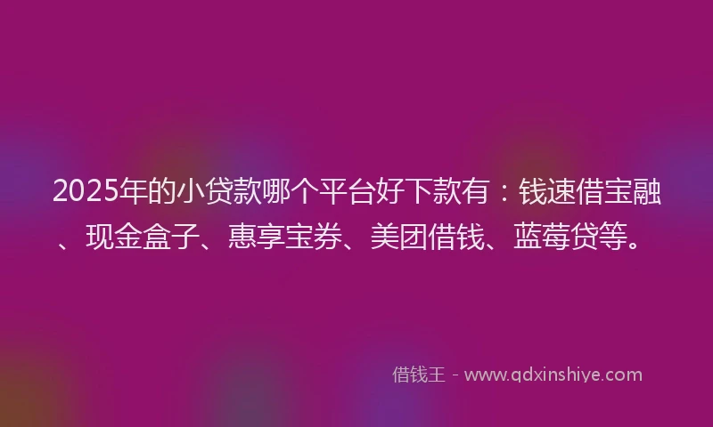 2025年的小贷款哪个平台好下款有：钱速借宝融、现金盒子、惠享宝券、美团借钱、蓝莓贷等。