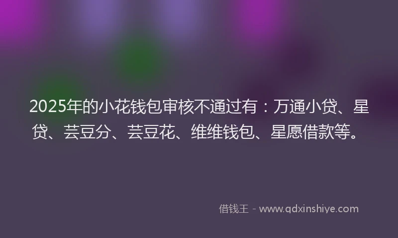 2025年的小花钱包审核不通过有：万通小贷、星贷、芸豆分、芸豆花、维维钱包、星愿借款等。