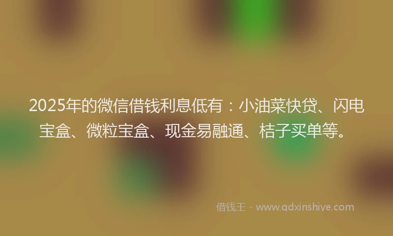 2025年的微信借钱利息低有：小油菜快贷、闪电宝盒、微粒宝盒、现金易融通、桔子买单等。