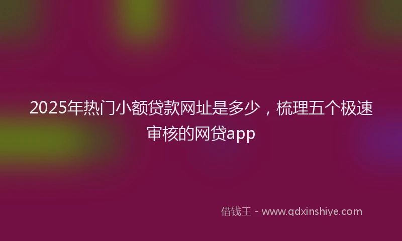 2025年热门小额贷款网址是多少，梳理五个极速审核的网贷app