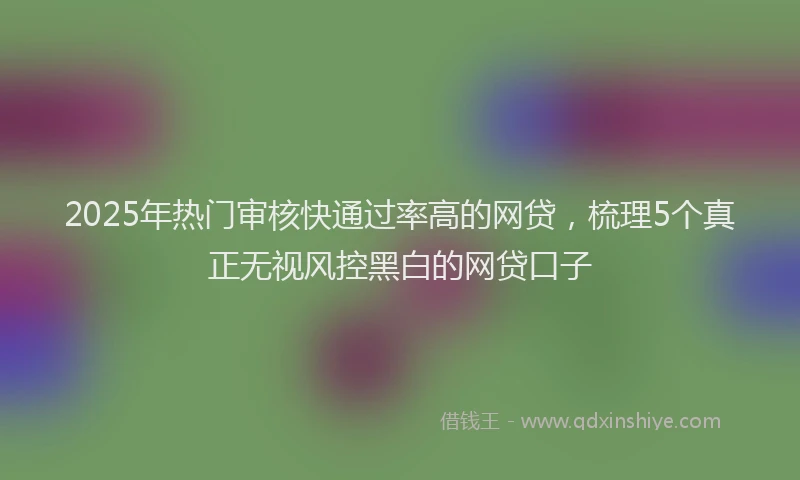 2025年热门审核快通过率高的网贷，梳理5个真正无视风控黑白的网贷口子