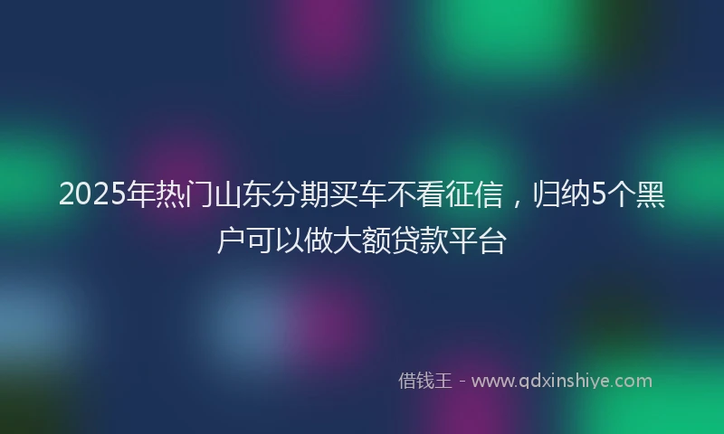 2025年热门山东分期买车不看征信，归纳5个黑户可以做大额贷款平台