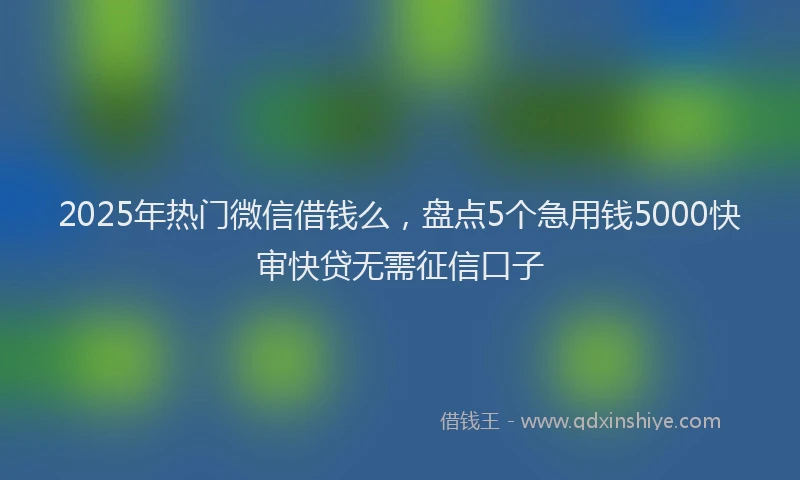 2025年热门微信借钱么，盘点5个急用钱5000快审快贷无需征信口子