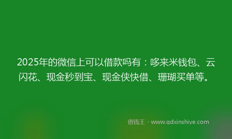 2025年的微信上可以借款吗有：哆来米钱包、云闪花、现金秒到宝、现金侠快借、珊瑚买单等。