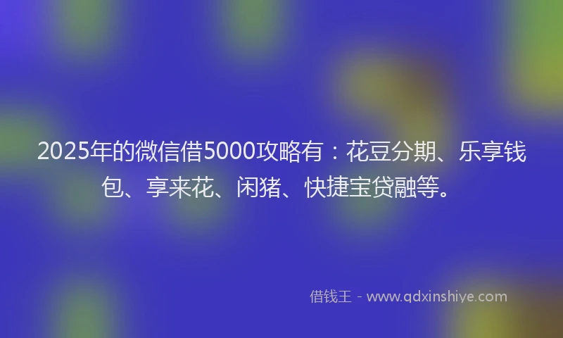 2025年的微信借5000攻略有：花豆分期、乐享钱包、享来花、闲猪、快捷宝贷融等。