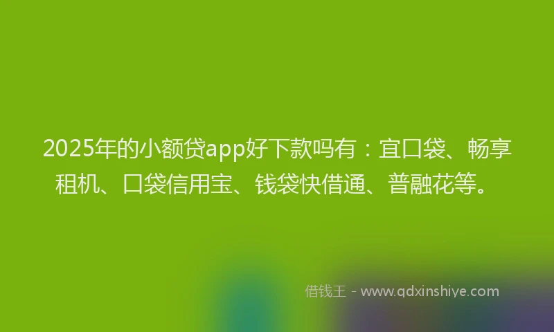 2025年的小额贷app好下款吗有：宜口袋、畅享租机、口袋信用宝、钱袋快借通、普融花等。